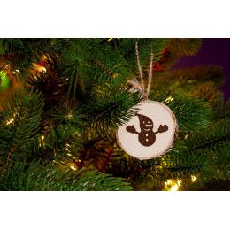 Подвеска Logger