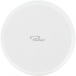 Снежный шар Wonderland Reindeer