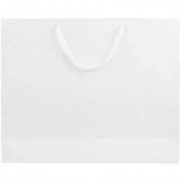 Пакет бумажный «Блеск»