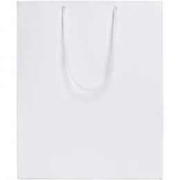 Пакет бумажный Ample M