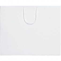 Пакет бумажный Ample L