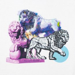 Футболка LionMe