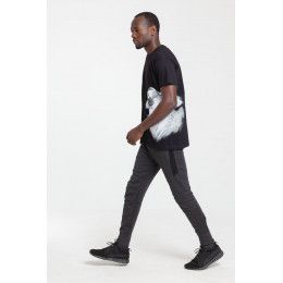 Футболка Like a Lion