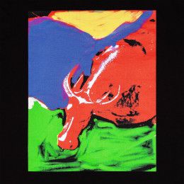 Футболка Toro