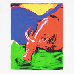 Футболка женская Toro