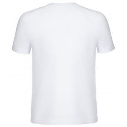 Футболка мужская «Биполярный медведь»