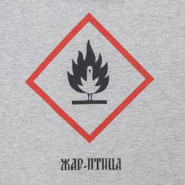 Футболка «Жар-птица»