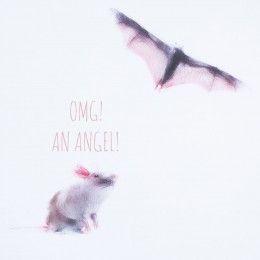 Футболка женская An Аngel