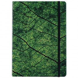 Ежедневник Evergreen