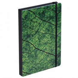 Ежедневник Evergreen