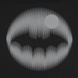 Свитшот мужской Letucci