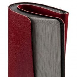 Ежедневник Shine