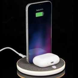 Универсальная зарядная станция Power Canvas