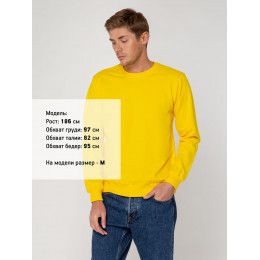 Свитшот Toima 2.0