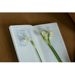 Ежедневник Nubuk