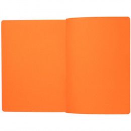 Ежедневник Flexpen Shall