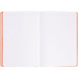 Ежедневник Flexpen Shall