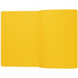 Ежедневник Flexpen Shall