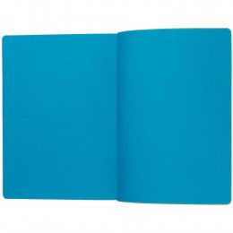 Ежедневник Flexpen Shall