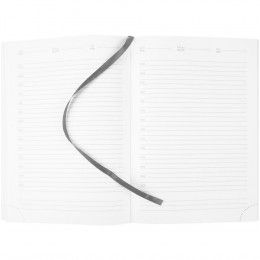 Ежедневник Prizma