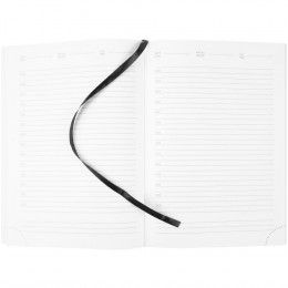 Ежедневник Prizma