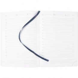 Ежедневник Prizma