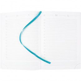 Ежедневник Prizma