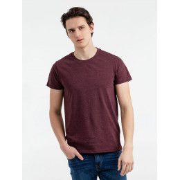 Футболка мужская Regent Fit 150