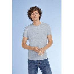 Футболка мужская Regent Fit 150