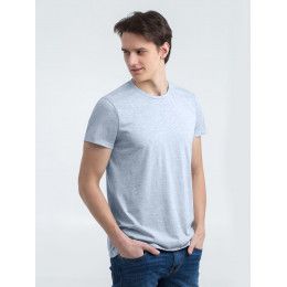 Футболка мужская Regent Fit 150