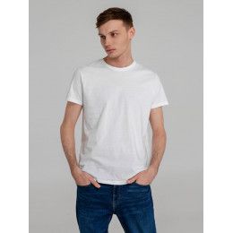 Футболка мужская Regent Fit 150