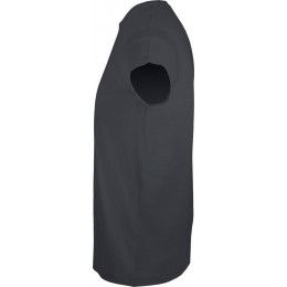 Футболка мужская Regent Fit 150