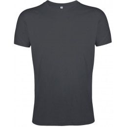 Футболка мужская Regent Fit 150