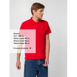 Рубашка поло мужская Spring 210