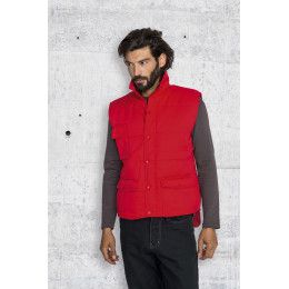 Жилет Equinox Pro