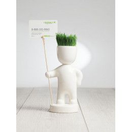 Набор для выращивания Funky Headman