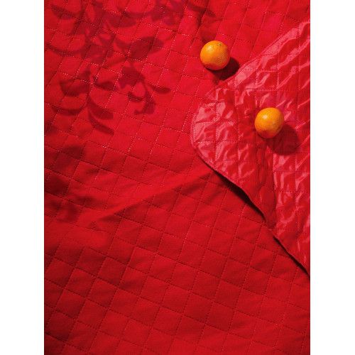 Плед для пикника Soft & Dry, темно-красный