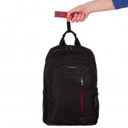 Дорожные весы Granska