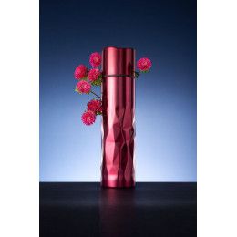 Термос Gems Red Rubine