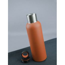 Термобутылка Sherp