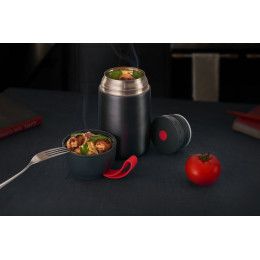 Термос для еды feedAway 700