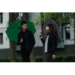 Зонт складной Monsoon