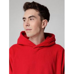 Худи флисовое унисекс Manakin