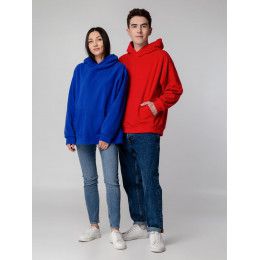 Худи флисовое унисекс Manakin