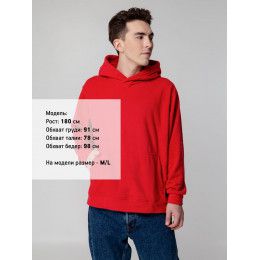 Худи флисовое унисекс Manakin