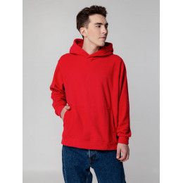 Худи флисовое унисекс Manakin