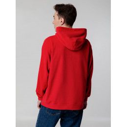 Худи флисовое унисекс Manakin