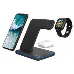 Зарядная станция Canyon WS-303