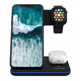 Зарядная станция Canyon WS-303