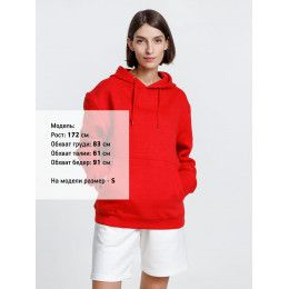 Худи унисекс Phoenix